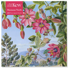 Ladda upp bild till gallerivisning, View in the Brisbane Botanic Garden