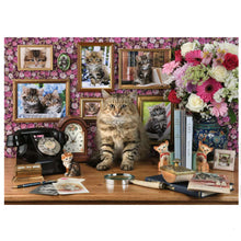 Ladda upp bild till gallerivisning, Mina kattungar