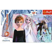 Ladda upp bild till gallerivisning, Frozen
