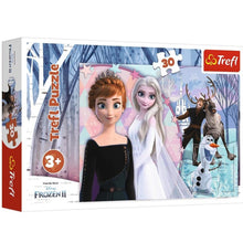 Ladda upp bild till gallerivisning, Frozen
