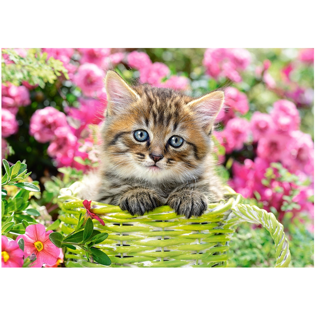 En katt i ett hav med blommor