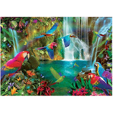 Ladda upp bild till gallerivisning, Tropiska papegojor
